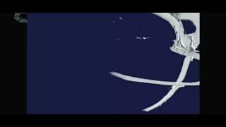 Fremantlemedia Enterprises 19952002