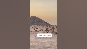 دحيم الحماد ١٤٤٦هـ آية من سورة الحشر