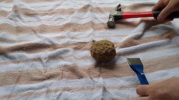 Cracking open our first geode - Part 1