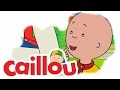 Caillou Caillou S Cricket S05E01 Videos For Kids Caillou Caillou S Cricket S05E01 Videos For Kids