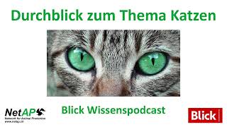 Durchblick - der Wissenspodcast zum Thema Katzen
