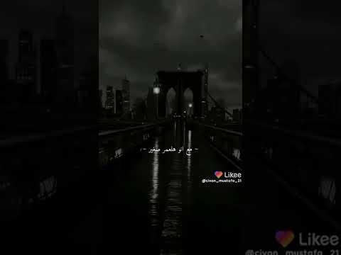 انس ابو سنينه تعبتني الدنيا كتير 