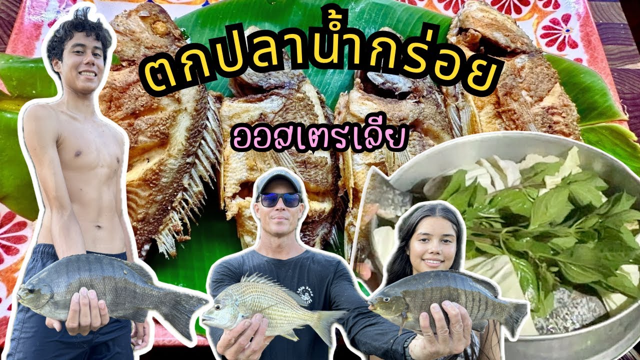 Ep.260 ตกปลาหากินตามธรรมชาติ  ปลาทอดของโปรดเอลลี กินดีไม่มีเคยเบื่อ ปลานึ่งน้ำจิ้มซีฟู้ด
