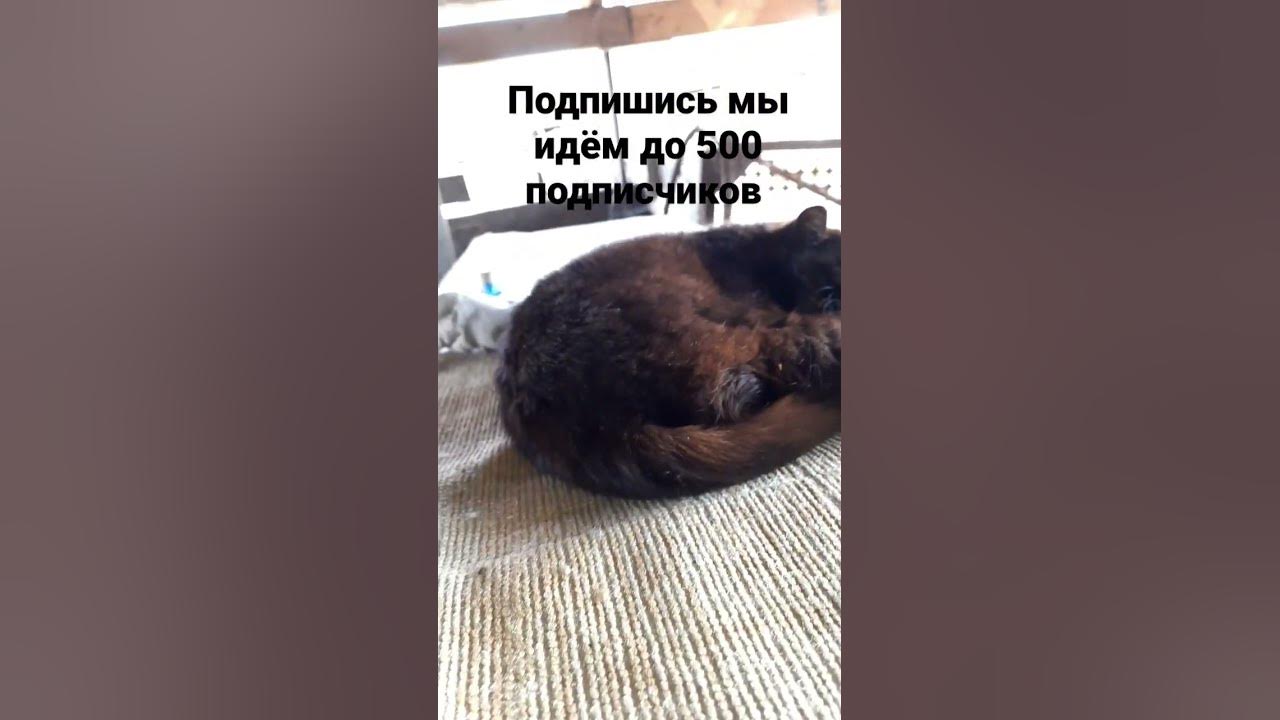черкаш - YouTube