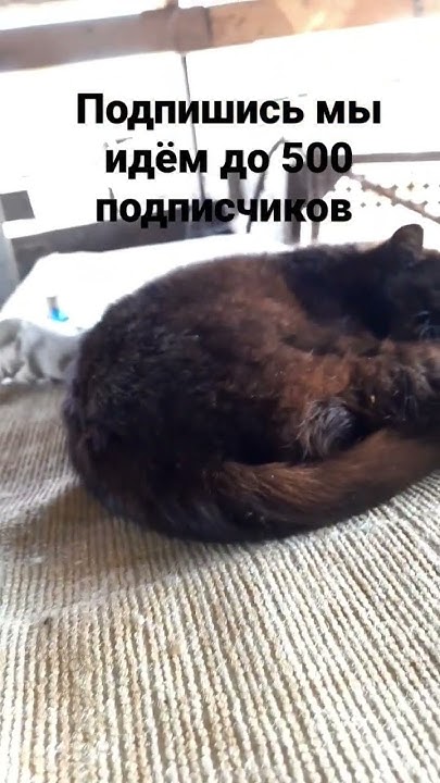черкаш - YouTube