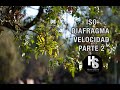 ISO, DIAFRAGMA Y VELOCIDAD EN LA FOTOGRAFÍA PARTE 2