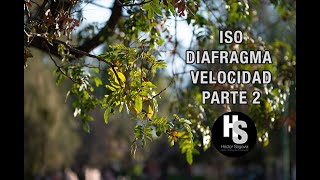 ISO, DIAFRAGMA Y VELOCIDAD EN LA FOTOGRAFÍA PARTE 2