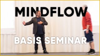 MindFlow - The Basic Seminar