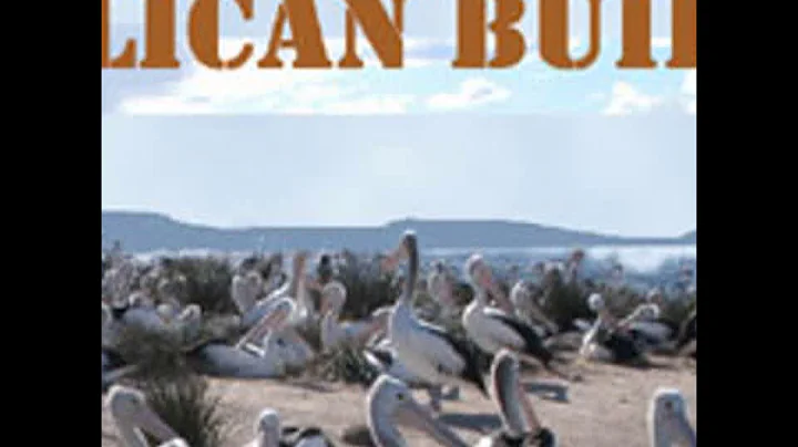 Where the Pelican Builds by Mary Hannay FOOTT read...