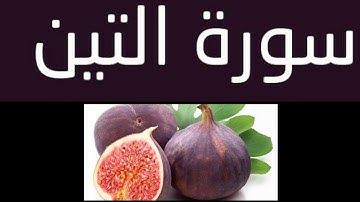 سورة التين بصوت القارئ حمدي هناي رياض