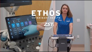 ZST Family in USA | Vetus 9 & Vetus E7 in ECVR the only 24-hour animal referral center in Wilmington