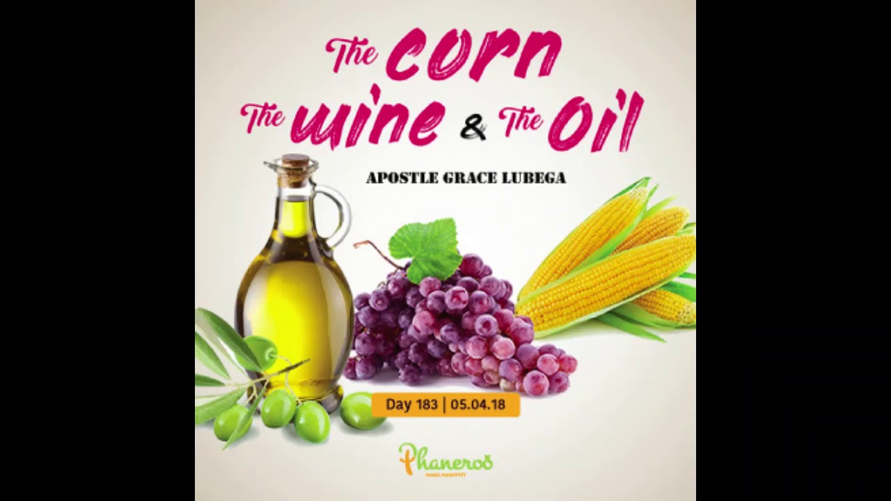 The Corn The Wine And The Oil YouTube