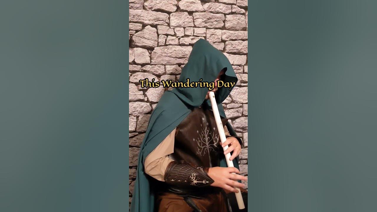 This Wandering Day on low whistle #lotr #ringsofpower #tinwhistle