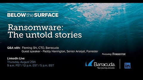 Below The Surface - Ransomware: The untold stories