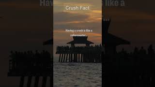 Celebrity Cracking the Code to Eternal Love 💑 | Relationship Insights Short #eternallove #motivation #love Profile