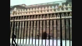 Home With The Armadillo by Gary P Nunn London Homesick Blues chords