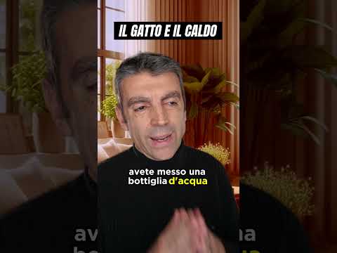 Il gatto e il caldo