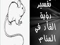 تفسير رؤية الفأر في المنام لابن سيرين 