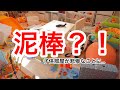 【子供部屋】キッズルームお片付け&紹介