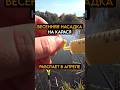 Весенняя НАСАДКА НА КАРАСЯ работает на 100% #рыбалка #carpfishing #карась #fishing