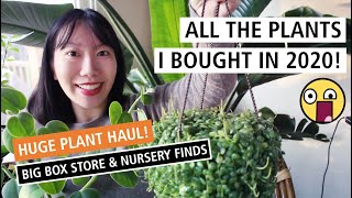Here Are All The Plants I Bought in 2020! My Big Box Store & Nursery Purchases!