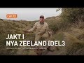 Jakt i Nya Zeeland (del3