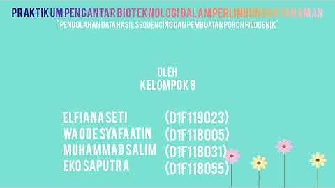 Cara Pengolahan Data Hasil Sequence menggunakan Bioedit dan Pembuatan Pohon filogenik