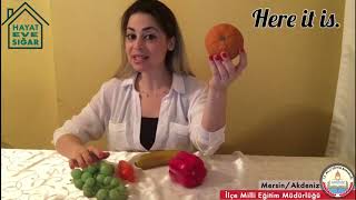 Evde Oyunlarla İngilizce screenshot 5