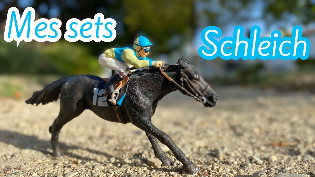 Présentation de mes sets Schleich !