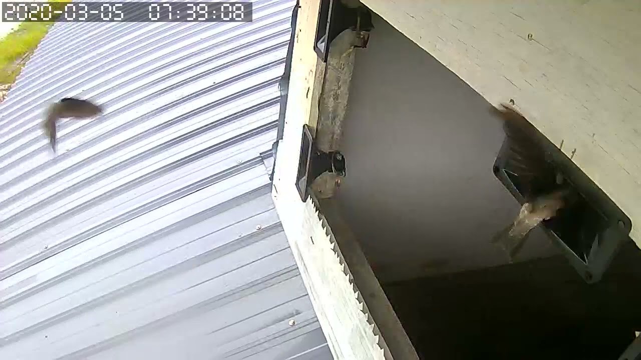 Suara Panggil Lmb Menggunakan Gromax Nhp4000 tweeter magnet kalis air