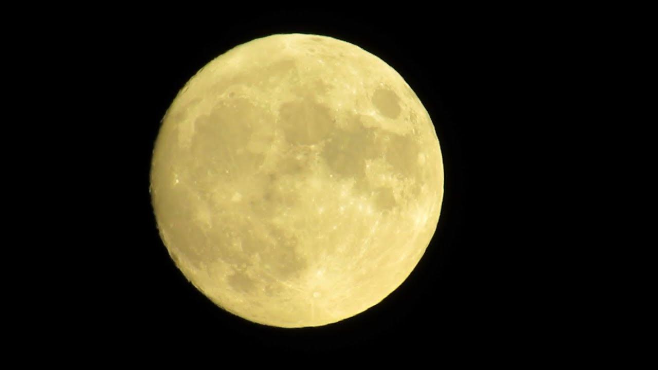 Луна как желтый медведь. Полнолуние. Желтая Луна. Луна сейчас. Полнолуние 2022.