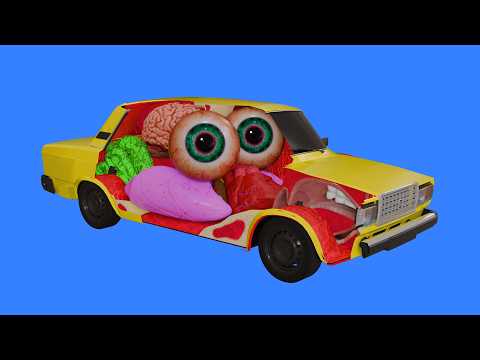 How To Drive A Car In English