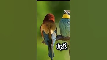 القرآن الكريم وكانك تسمعه لأول مرة ❤️♥️💕💕