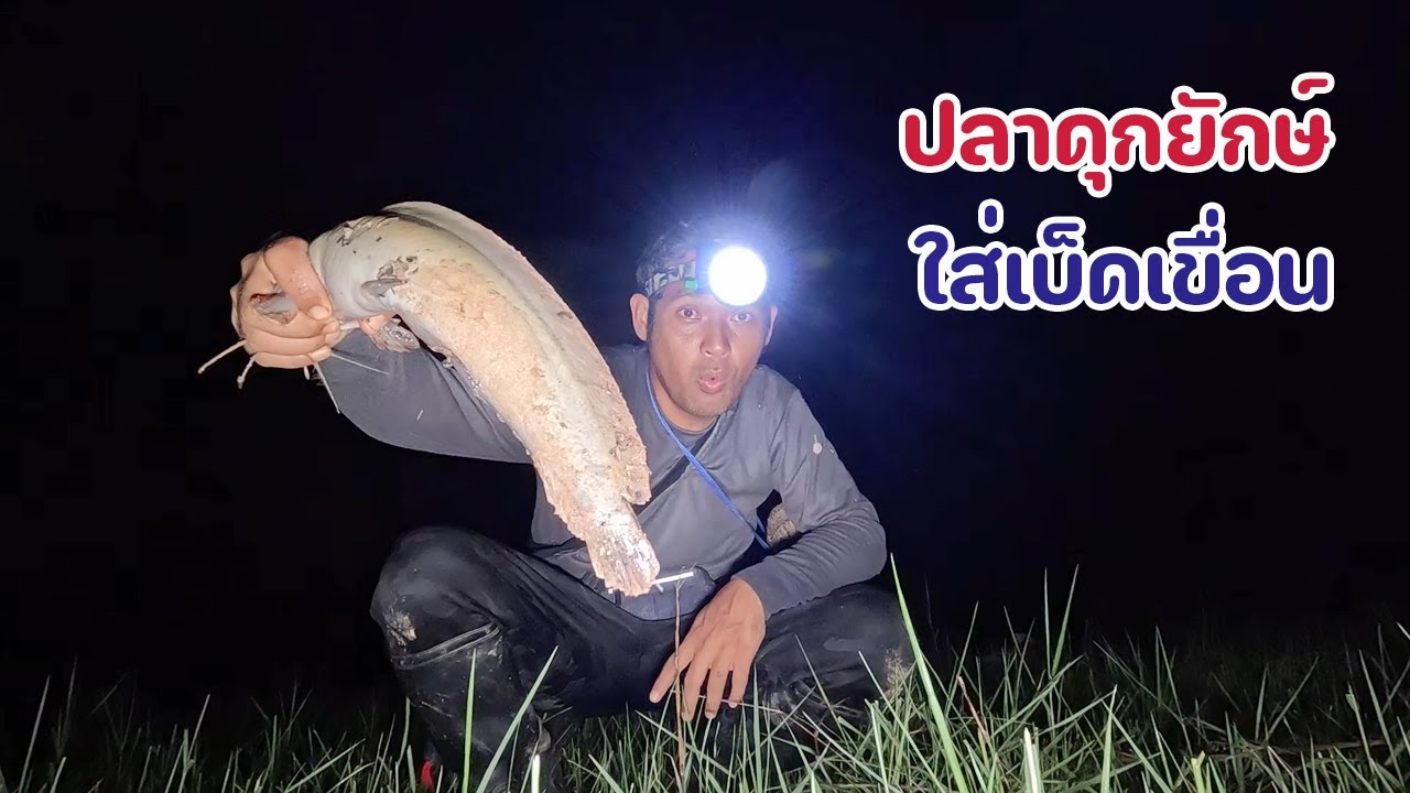 ใส่เบ็ดปลาเขื่อน เจอตัวใหญ่ ติดแปลกๆ หมายท้ายเขื่อนลำสำลาย