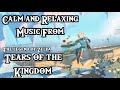 Calm and relaxing music from the legend of zelda  tears of the kingdom