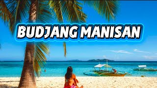 Budjang Manisan - Pala'wan song cover