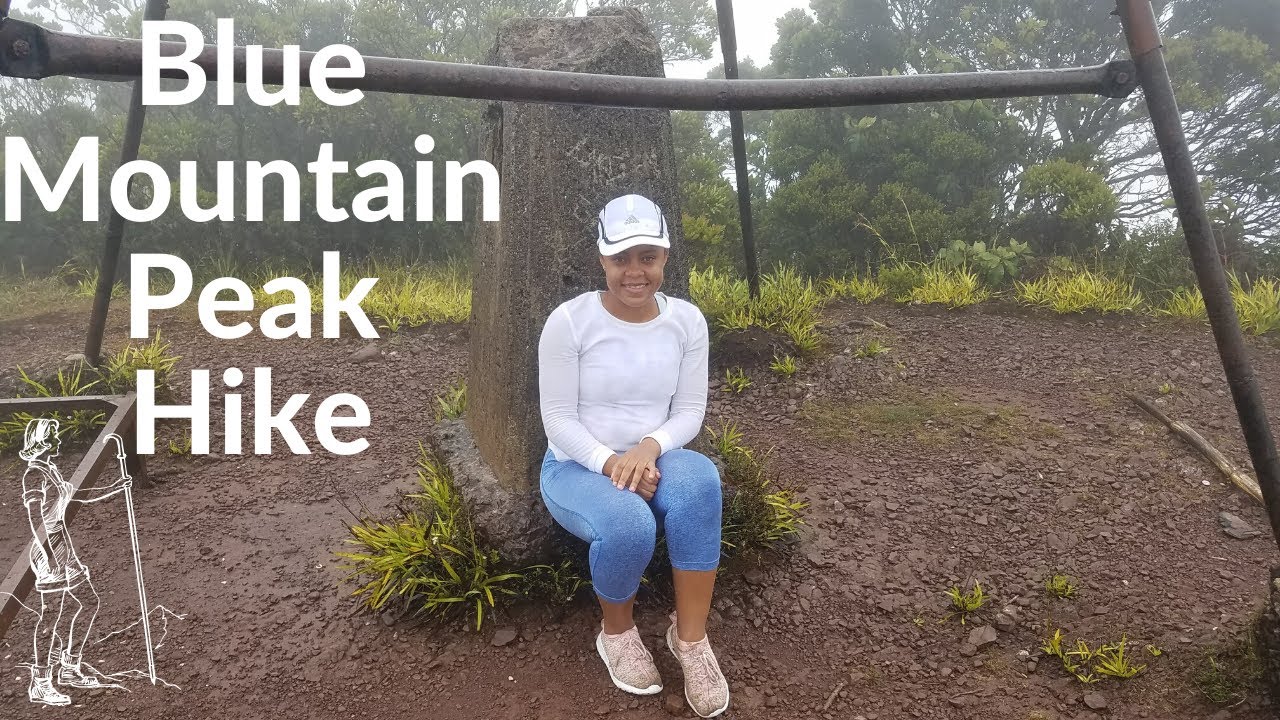 Blue Mountain Peak Hike Blue Mountain Jamaica with Island Explorers