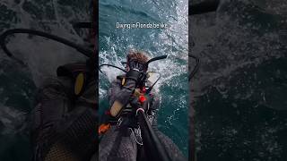 An 800-Pound Giant Grouper Lurks Below on the Florida Reef | #scubadiving #goliathgrouper #scuba