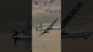 Что Предпринял Су-27 Flanker После Обнаружения Mq-9 Reaper?