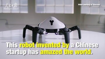 Highly maneuverable and programmable Chinese six legged robot amazes the world