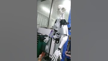inmoov test