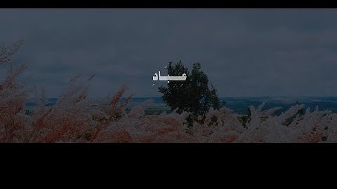 يَا عِبَادِ لَا خَوْفٌ عَلَيْكُمُ الْيَوْمَ | محمد صديق المنشاوي | سورة الزخرف