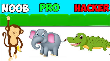 NOOB vs PRO vs HACKER - zoo happy animals gamepy