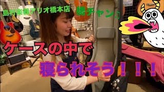 【橋チャン】楽器屋店員が選ぶお勧めギターケースとは・・・。～島村楽器アリオ橋本店～