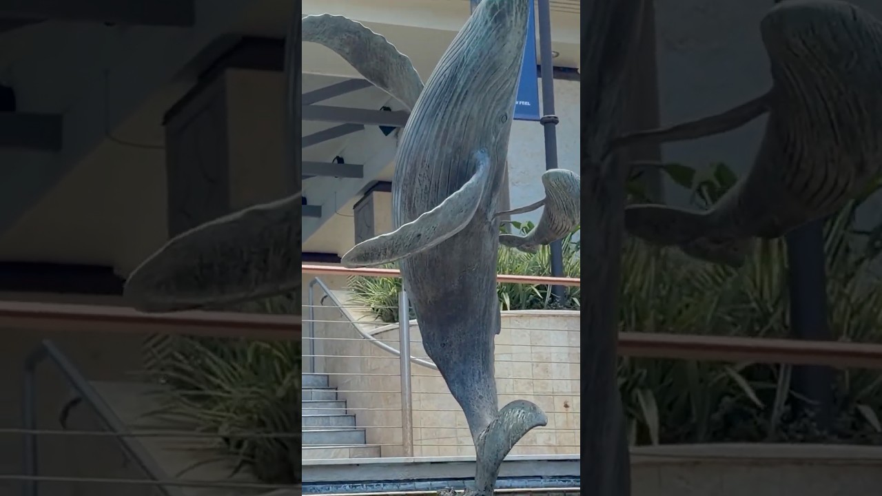 Hawaii Cruise Day 3 🌺 Kāʻanapali Beach & Whalers Village, Maui | 10 August 2026 #Shorts