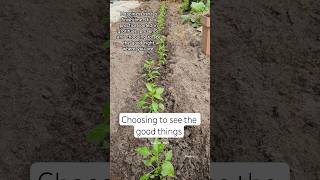 Download Lagu Happiness isn't a finish line #relatable #satisfying #video #fyourpage #short #trending MP3