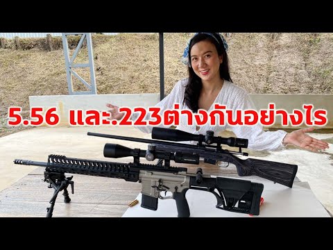 วีดีโอ: Calibre 223 Rem: คุณสมบัติและบทวิจารณ์