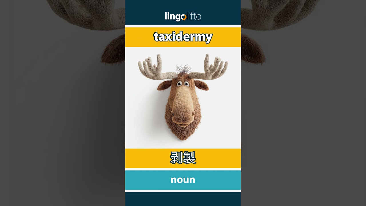 🇬🇧🇯🇵 taxidermy - 剥製 : learn English : 英語を学ぼう