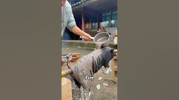 have you ever tasted Roasted Pig over Fire #food