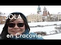 St. Mary&#39;s Basilica and Wawel Castle in Kraków, Poland